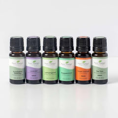 Plant Therapy Breathe Easy Eucalyptus bottle for refreshing, respiratory comfort.