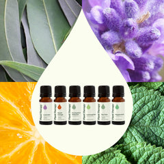 Plant Therapy Breathe Easy Lemongrass bottle for uplifting scent and energy.