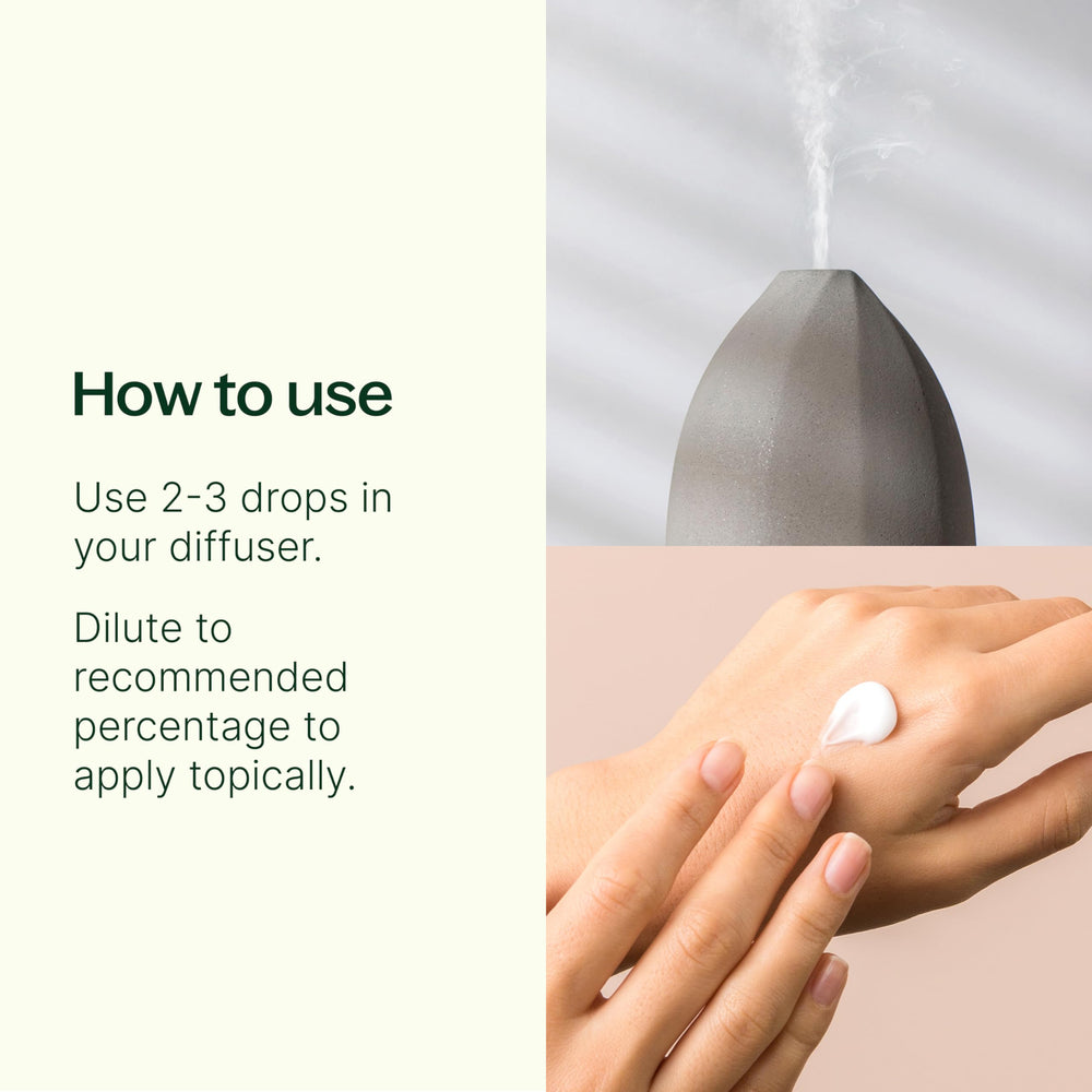 Plant Therapy Breathe Easy Peppermint bottle for alert focus and cooling.