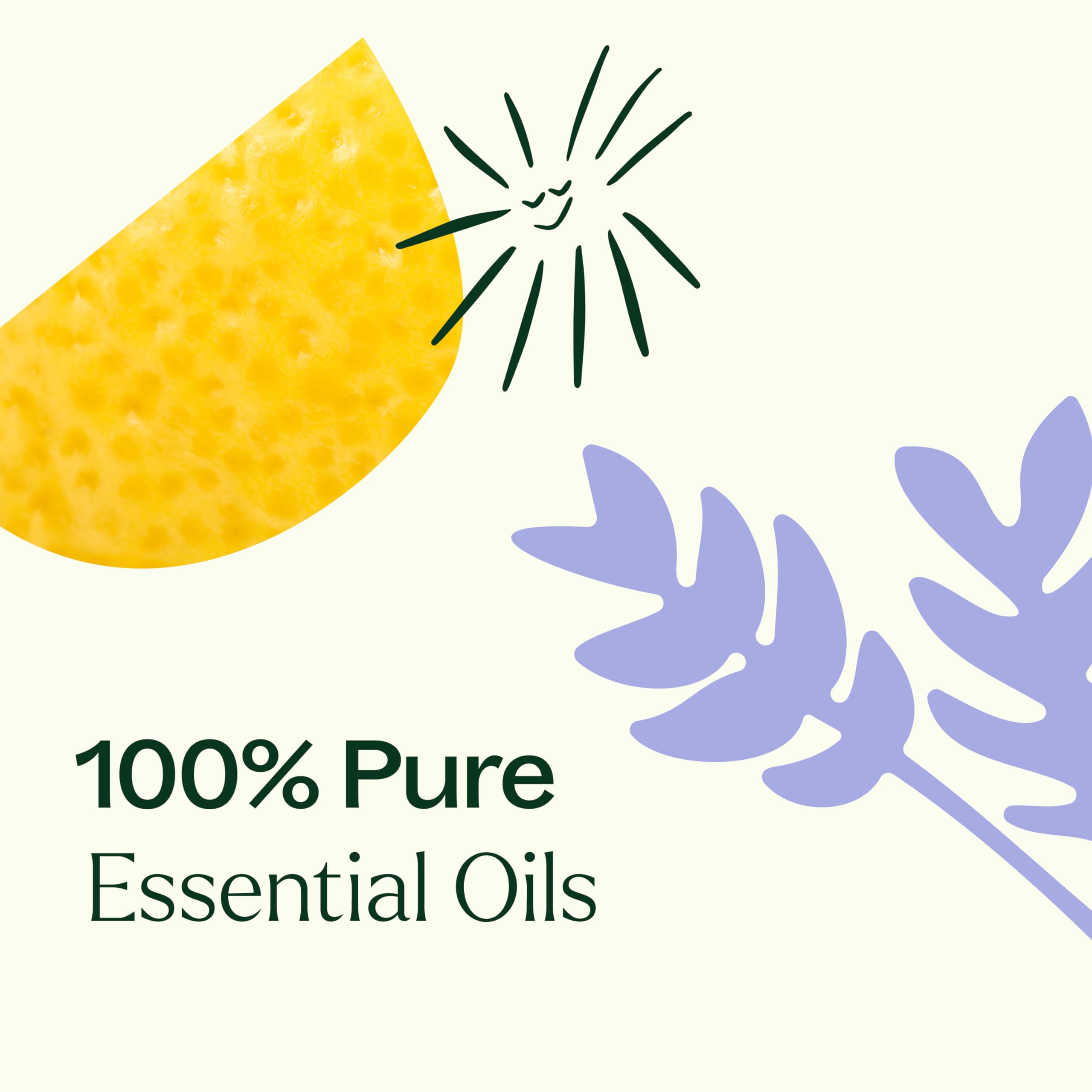 Plant Therapy Breathe Easy Tea Tree bottle for clear skin support when diluted.