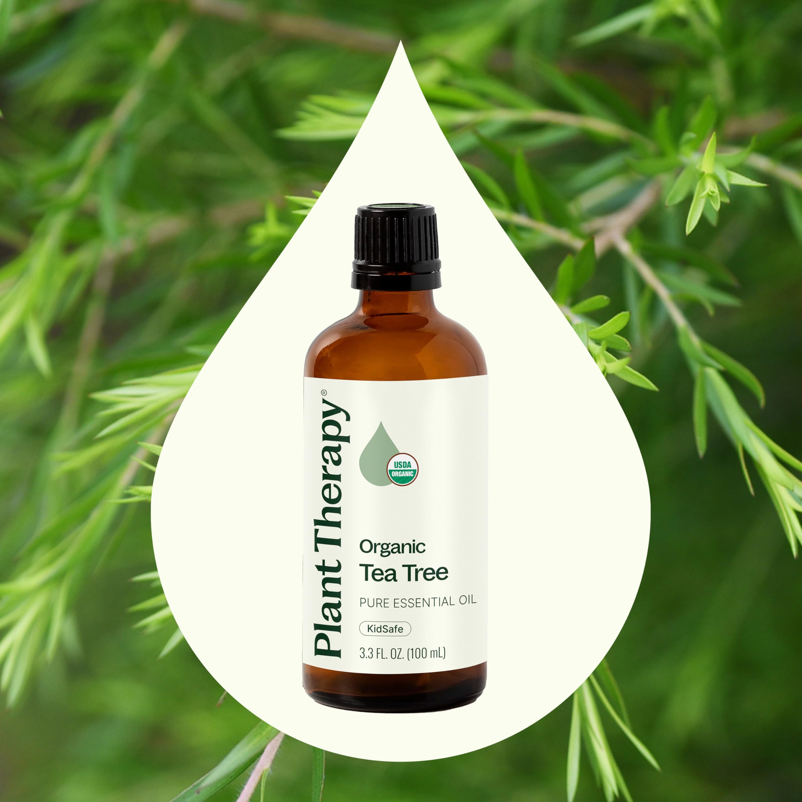 Plant Therapy Tea Tree Oil dropper bottle close-up for precise measurement