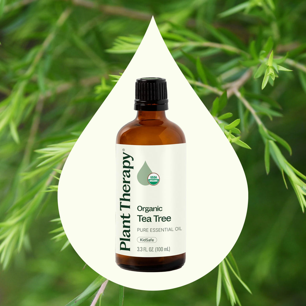 Plant Therapy Tea Tree Oil dropper bottle close-up for precise measurement
