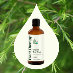 Plant Therapy Tea Tree Oil dropper bottle close-up for precise measurement