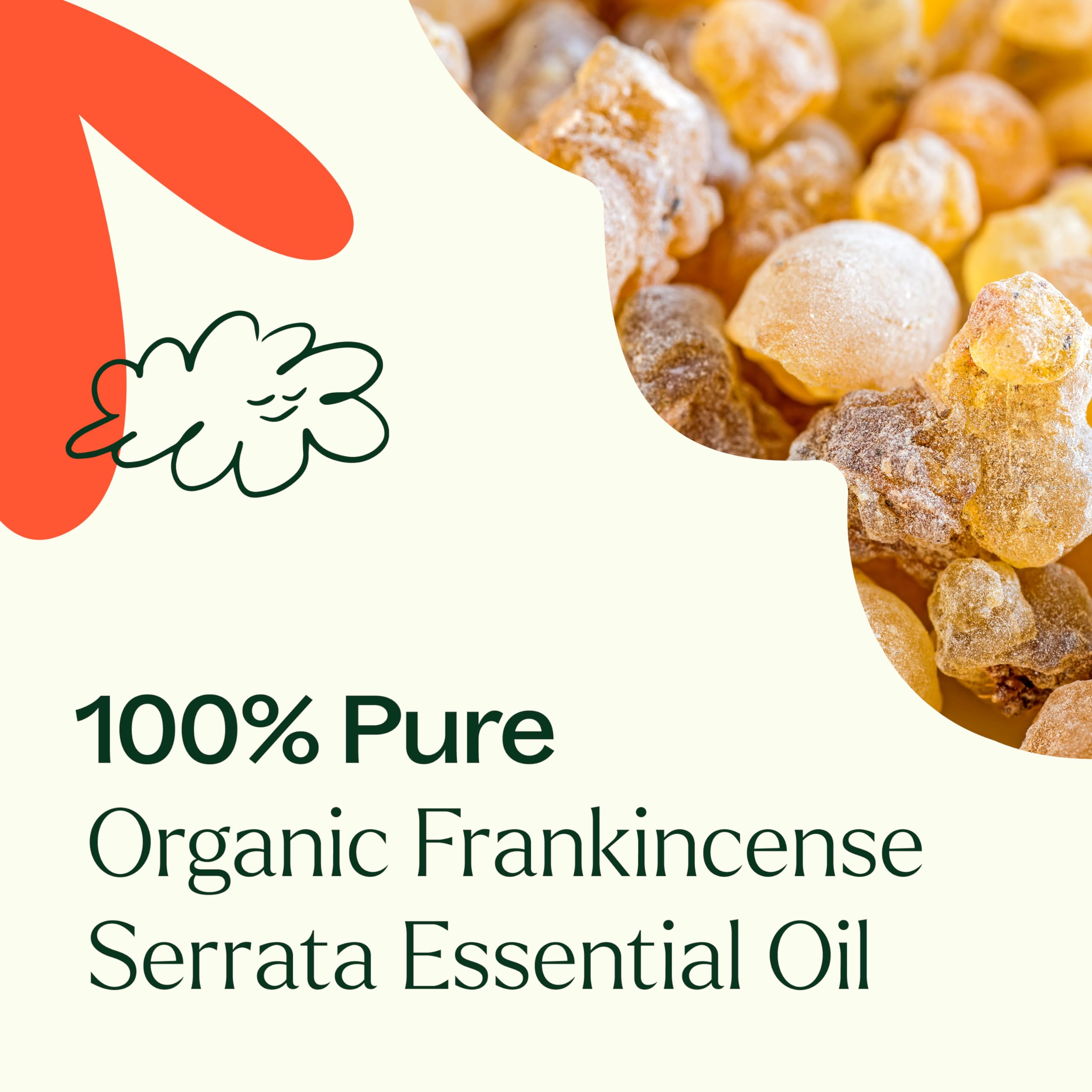 Carrier oil beside Frankincense Serrata for gentle topical use.