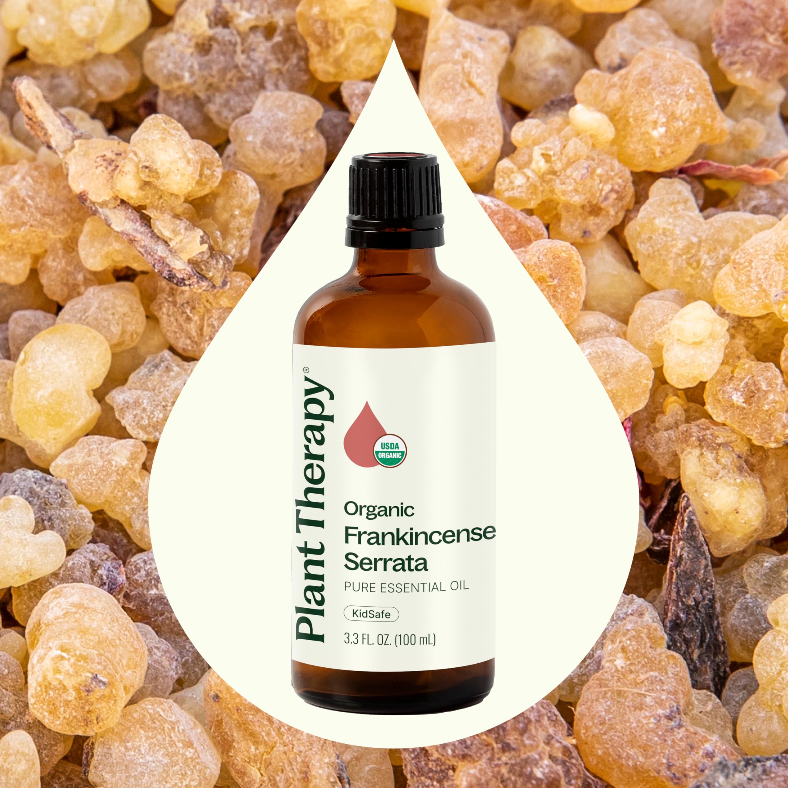 Diffuser releasing warm, earthy aroma with Frankincense Serrata.
