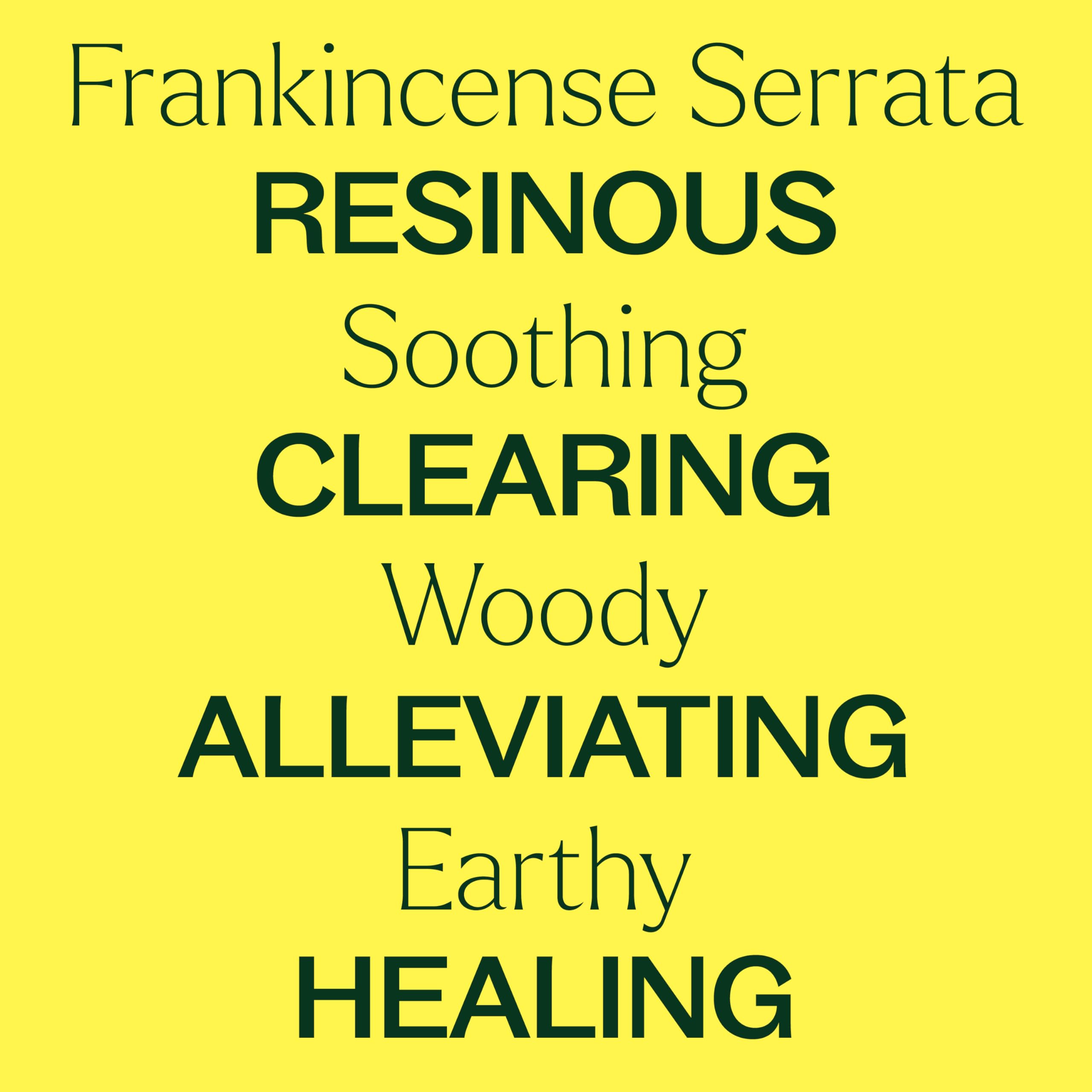 Dropper with undiluted Frankincense Serrata oil.