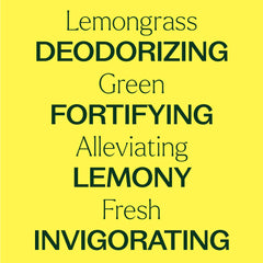 Plant Therapy Lemongrass dropper top ready for precise dilution.
