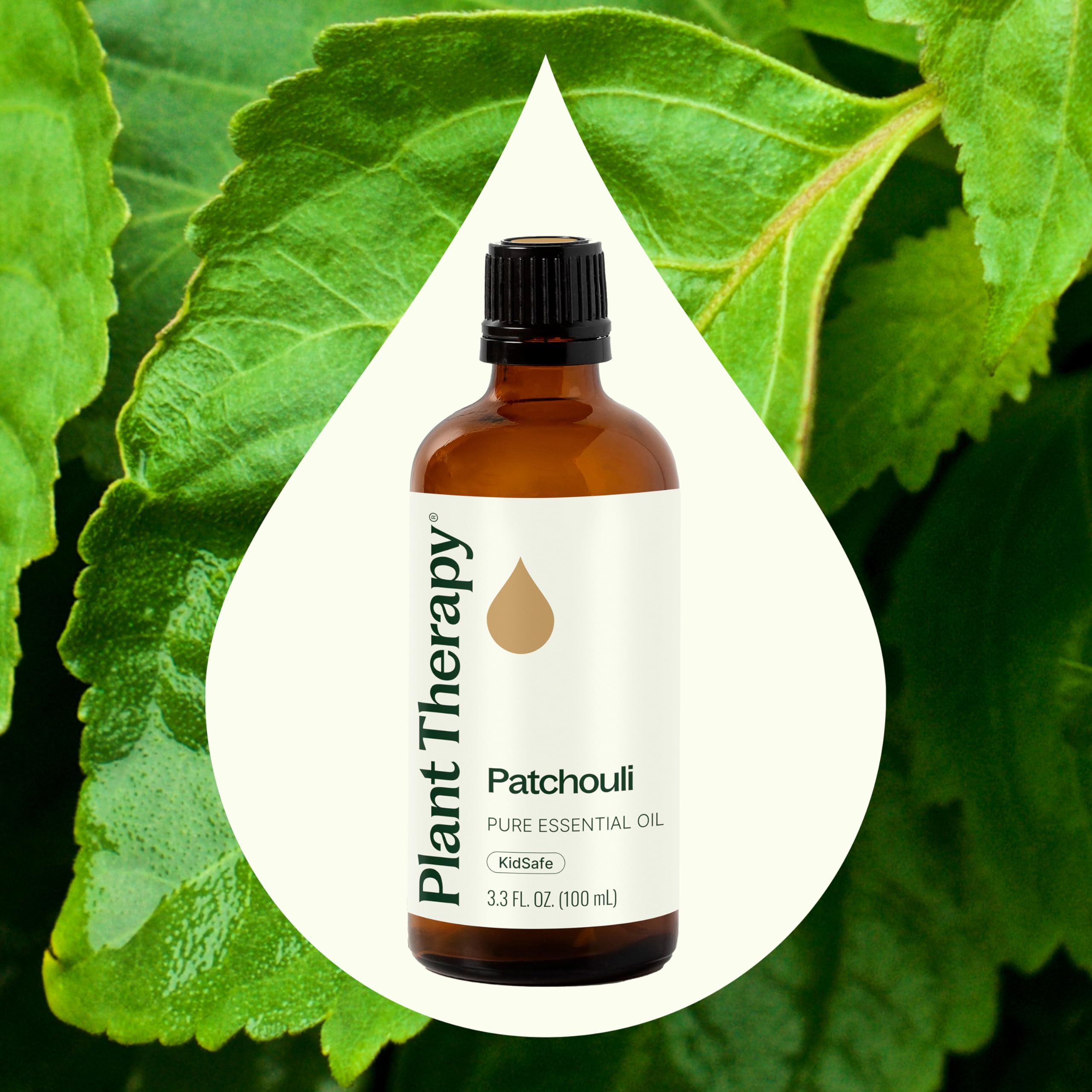 Plant Therapy Patchouli Oil used in skincare routines for balance.