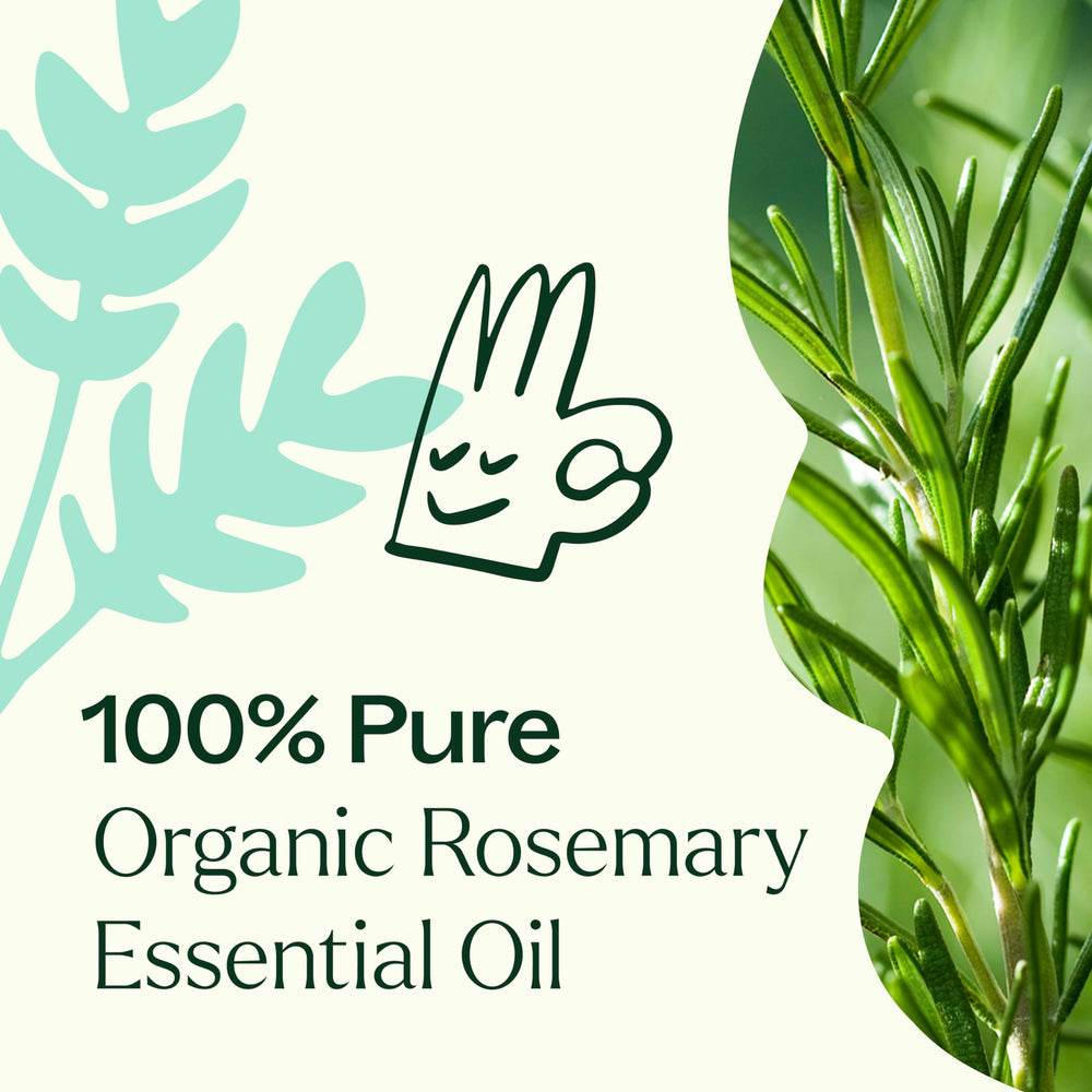 Plant Therapy rosemary oil massage blend — pairs with other oils for relaxation.