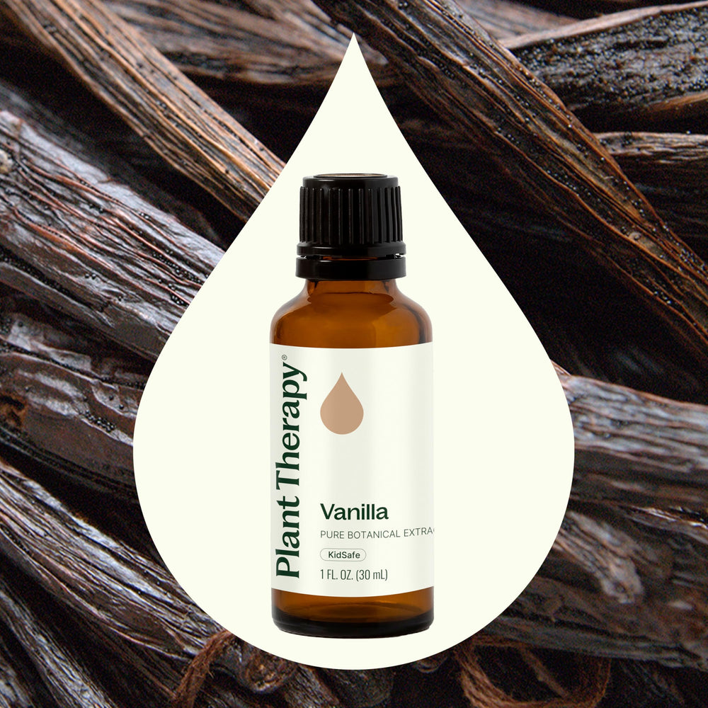 Plant Therapy vanilla aroma profile visual focuses on cozy, inviting scent for body care