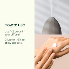 Plant Therapy Vetiver oil bottle with dropper, showcasing pure essential oil
