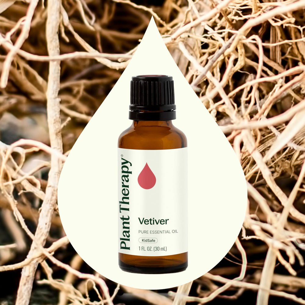 Plant Therapy Vetiver oil woodsy, earthy aroma in a bottle