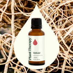 Plant Therapy Vetiver oil woodsy, earthy aroma in a bottle