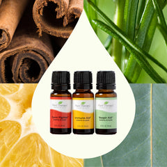 Plant Therapy Respir Aid 10ml bottle close-up, easy to diffuse for comfortable breathing during seasonal changes.