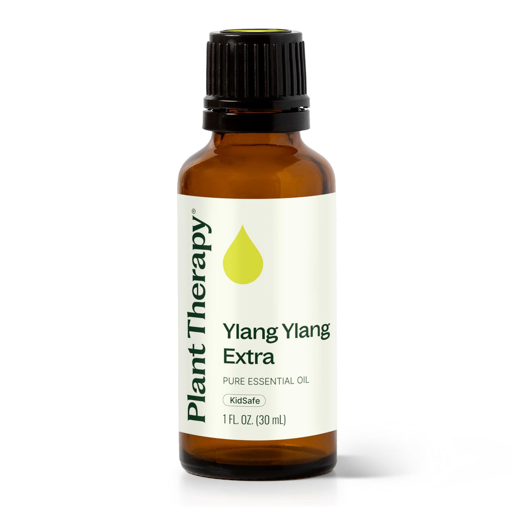 Plant Therapy Ylang Ylang Extra bottle—pure aroma for mood support.