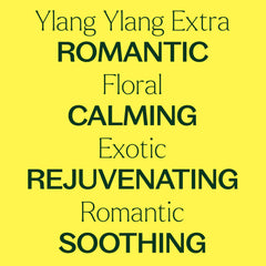Plant Therapy Ylang Ylang Extra diffuser scene—soothing room aroma.