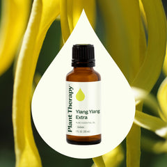 Plant Therapy Ylang Ylang Extra label close-up—high quality, pure essential oil.