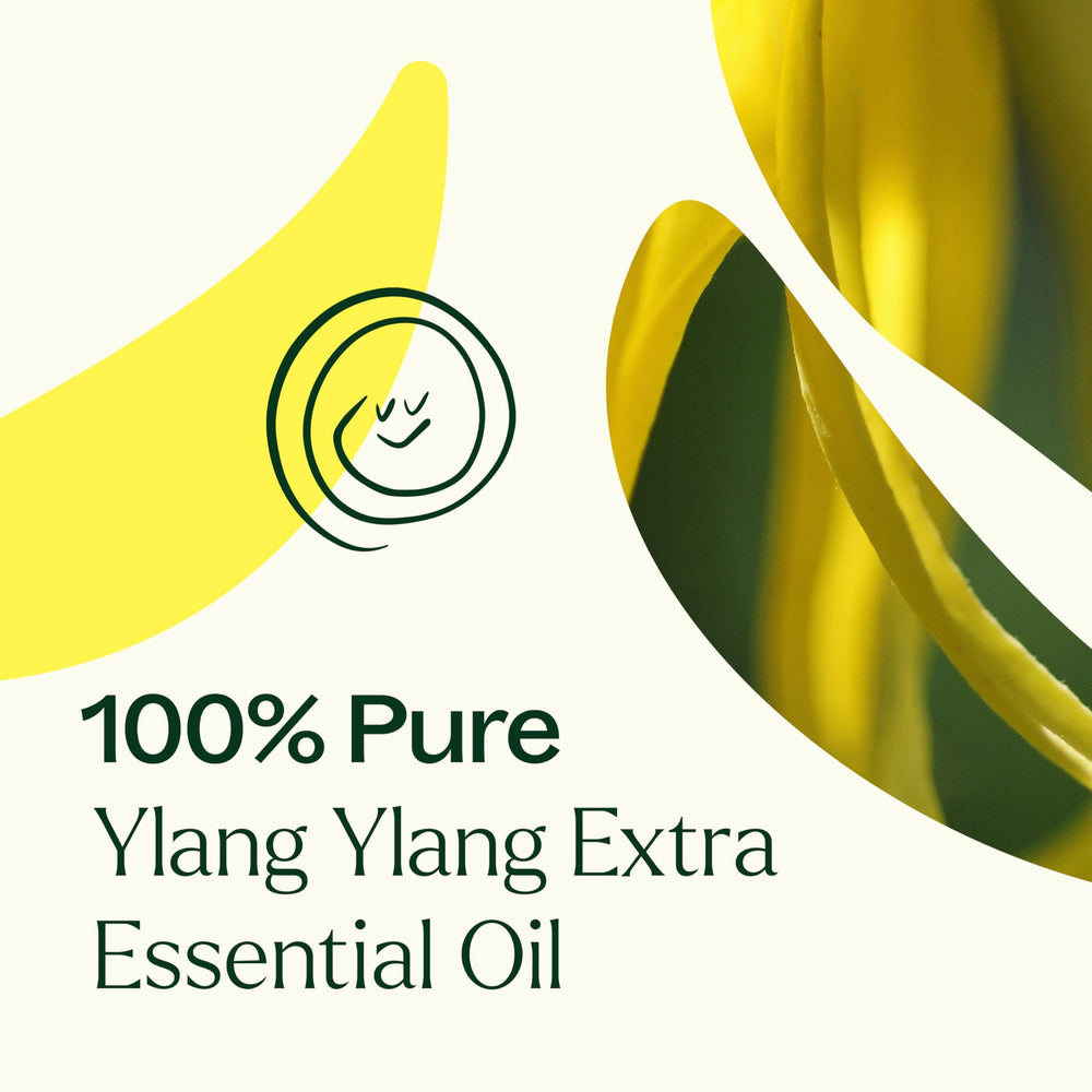 Plant Therapy Ylang Ylang Extra perfume roller—on-the-go mood enhancement.
