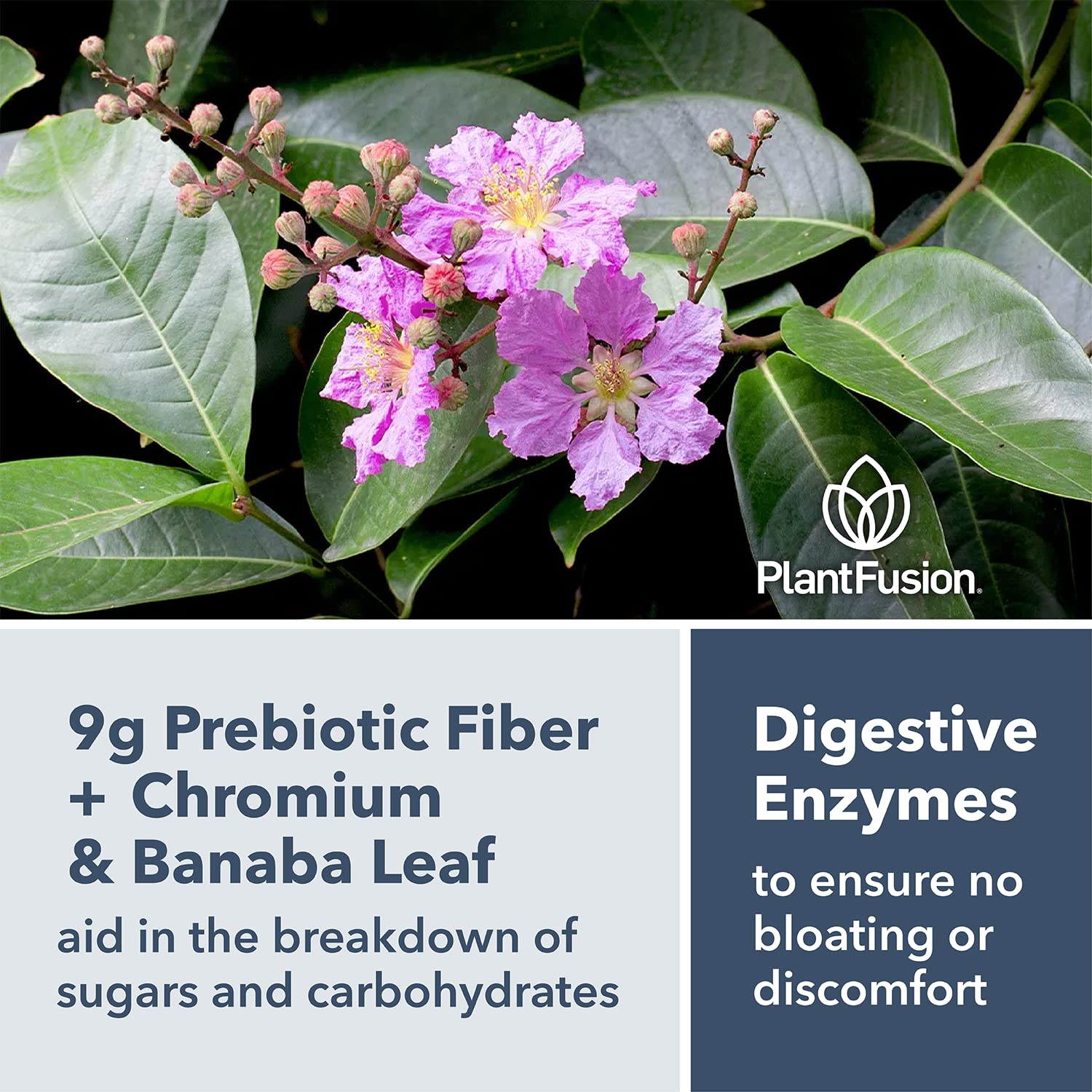 PlantFusion Complete Lean probiotic panel suggests gut-friendly benefits in a vegan formula