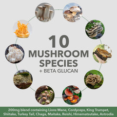 PlantFusion mushroom blend-10-species close-up with beta-glucans preserved.
