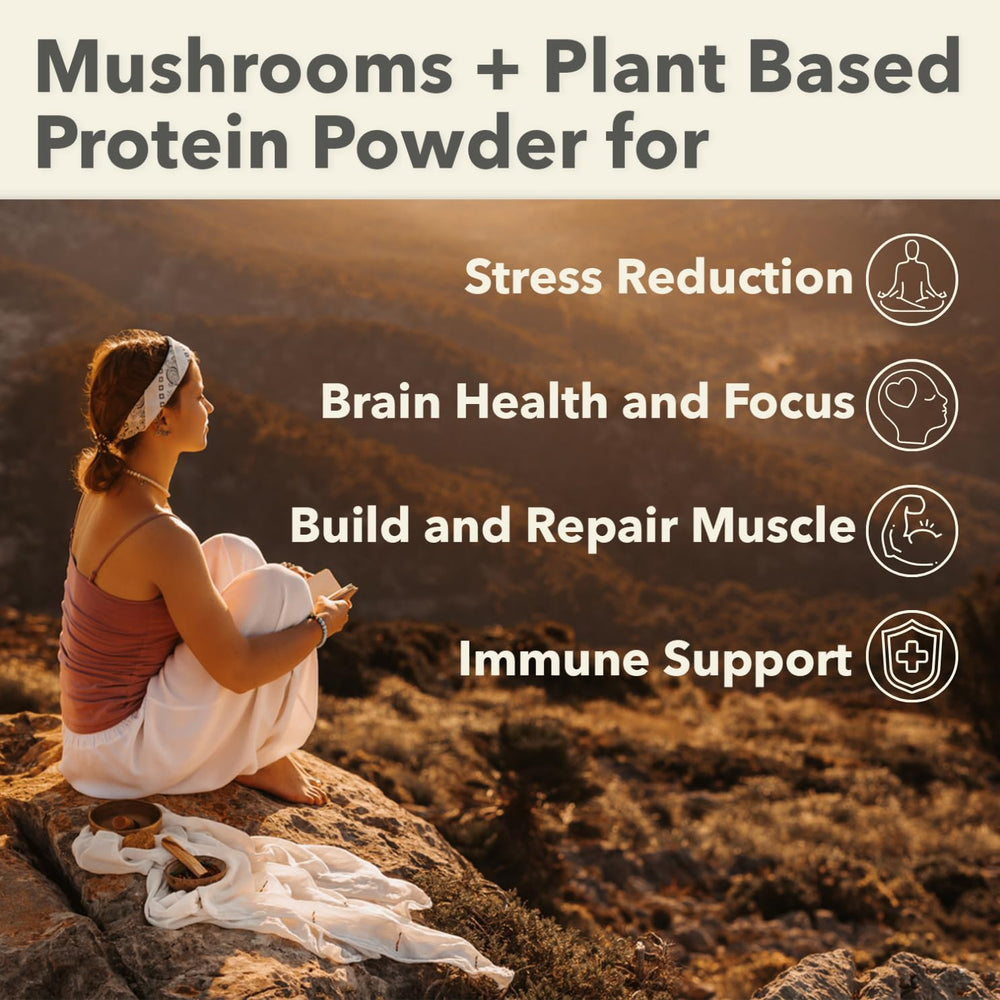 PlantFusion vanilla powder on shelf, signaling plant-based protein options.