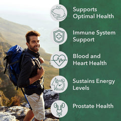 PlantFusion Men tablets close-up highlighting whole-food ingredients for daily use.
