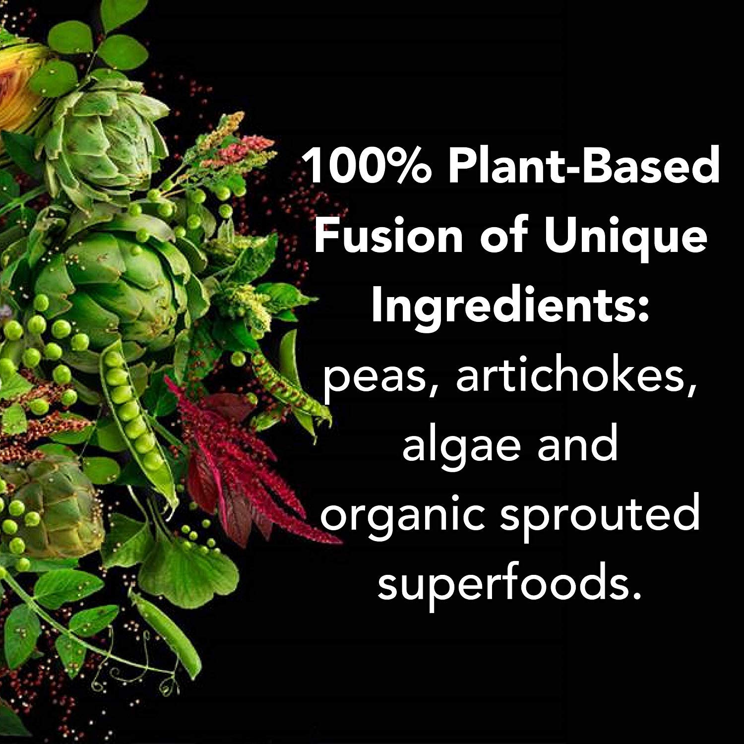 Great for lactose-sensitive or dairy-free diets with plant-based protein