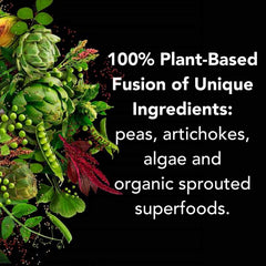 Great for lactose-sensitive or dairy-free diets with plant-based protein