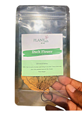 Plantish by JM Jamaican Duck Flower Detox box showcasing everyday detox packaging