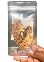 Plantish by JM Jamaican Duck Flower Detox ingredients closeup highlighting natural dehydrated flower