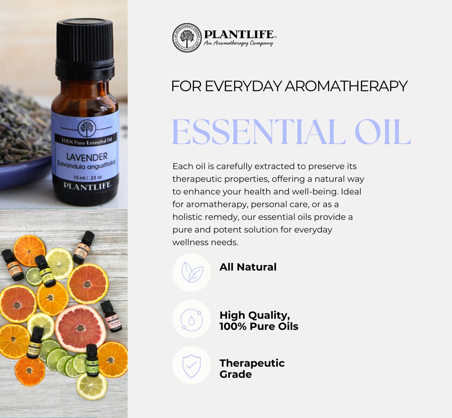 Plantlife Fragonia diffuser-blend bottle ready for calming sessions.