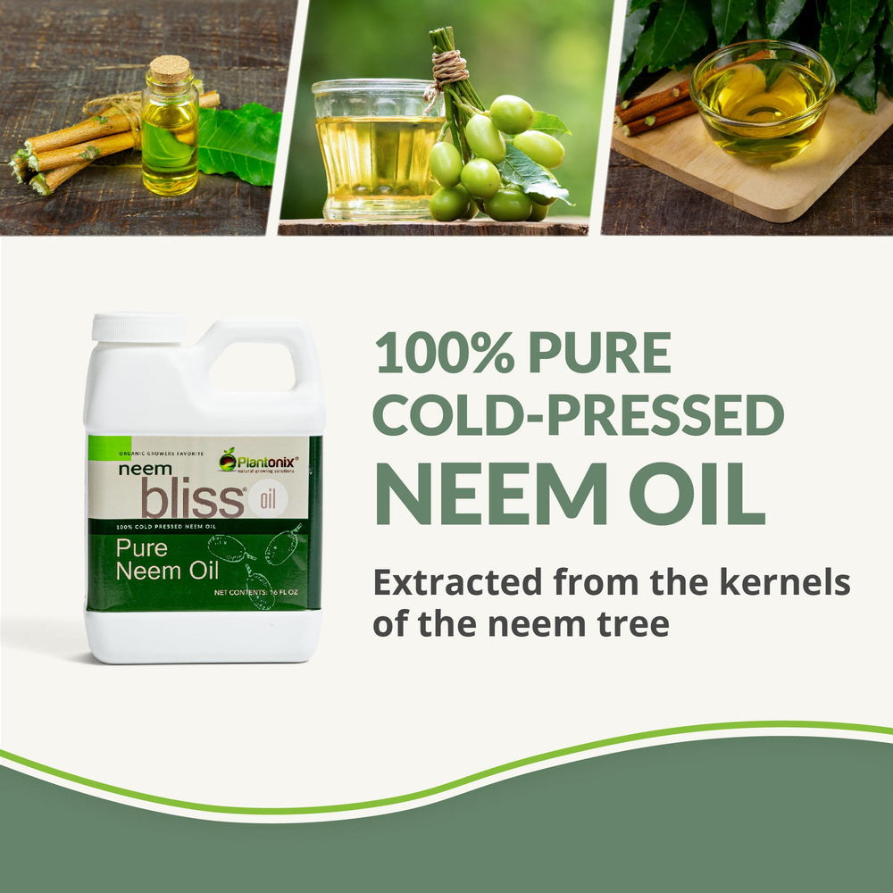 Plantonix Neem Bliss label detail emphasizes pure, cold-pressed oil