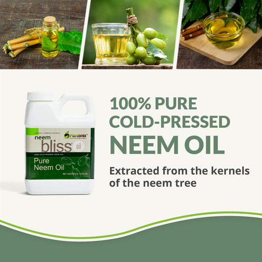 Plantonix Neem Bliss close-up oil shows natural content for skin care.