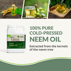 Plantonix Neem Bliss close-up oil shows natural content for skin care.