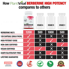 Close-up of Plantvital Berberine vegan capsules for everyday wellness.