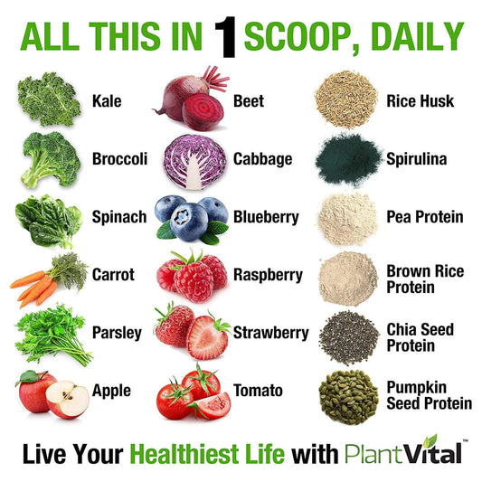 Plantvital greens protein scoop showing 24g protein in shakes.