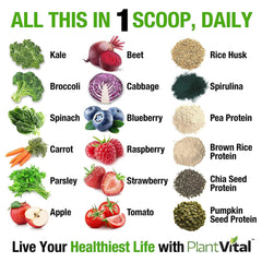 Plantvital greens protein scoop showing 24g protein in shakes.