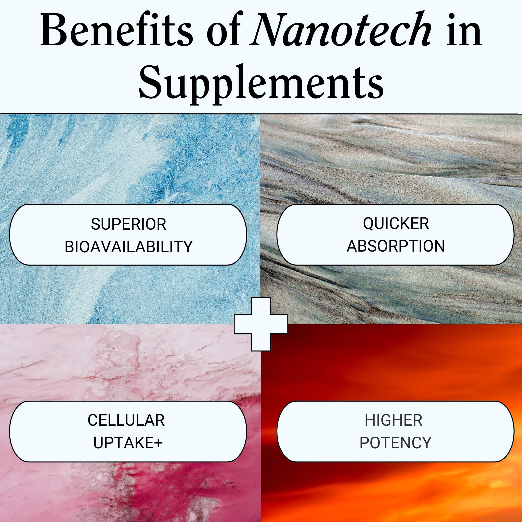 Platinum Health Essential Brain Health phosphatidylserine closeup for cognitive wellness