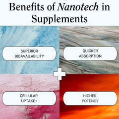 Platinum Health Essential Brain Health phosphatidylserine closeup for cognitive wellness