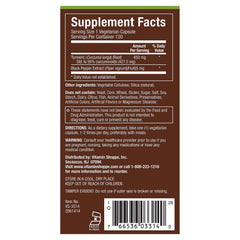 plnt turmeric label detail emphasizes non-GMO Indian turmeric root origin