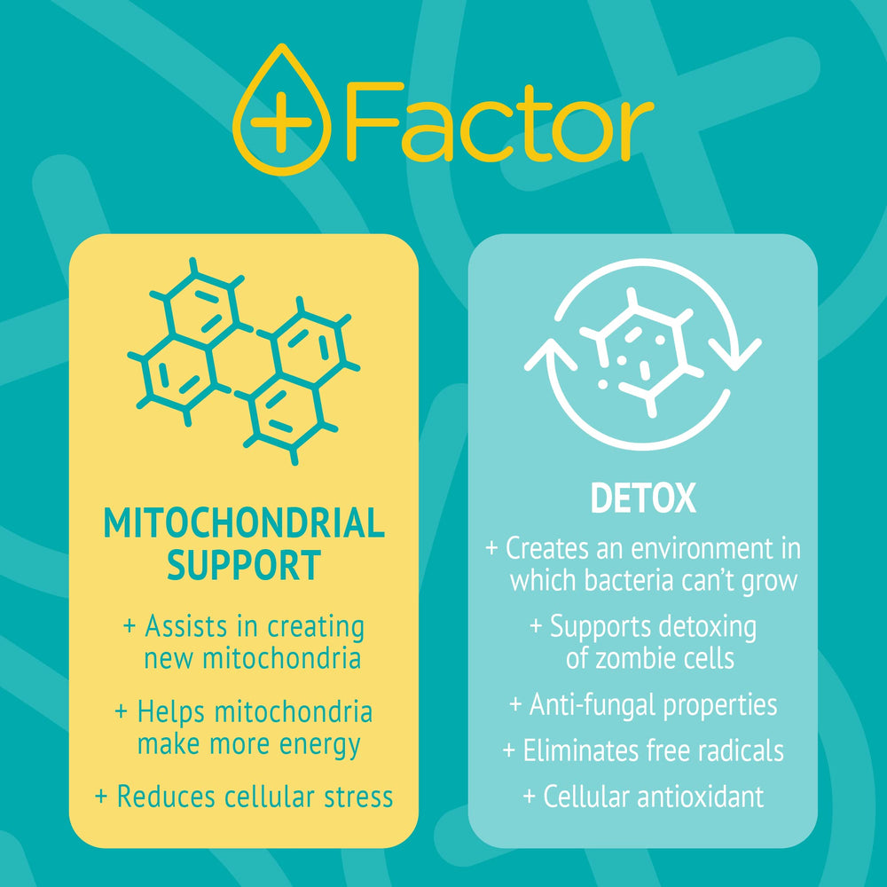 Plus Factor bottle with glass and dropper for convenient dosing
