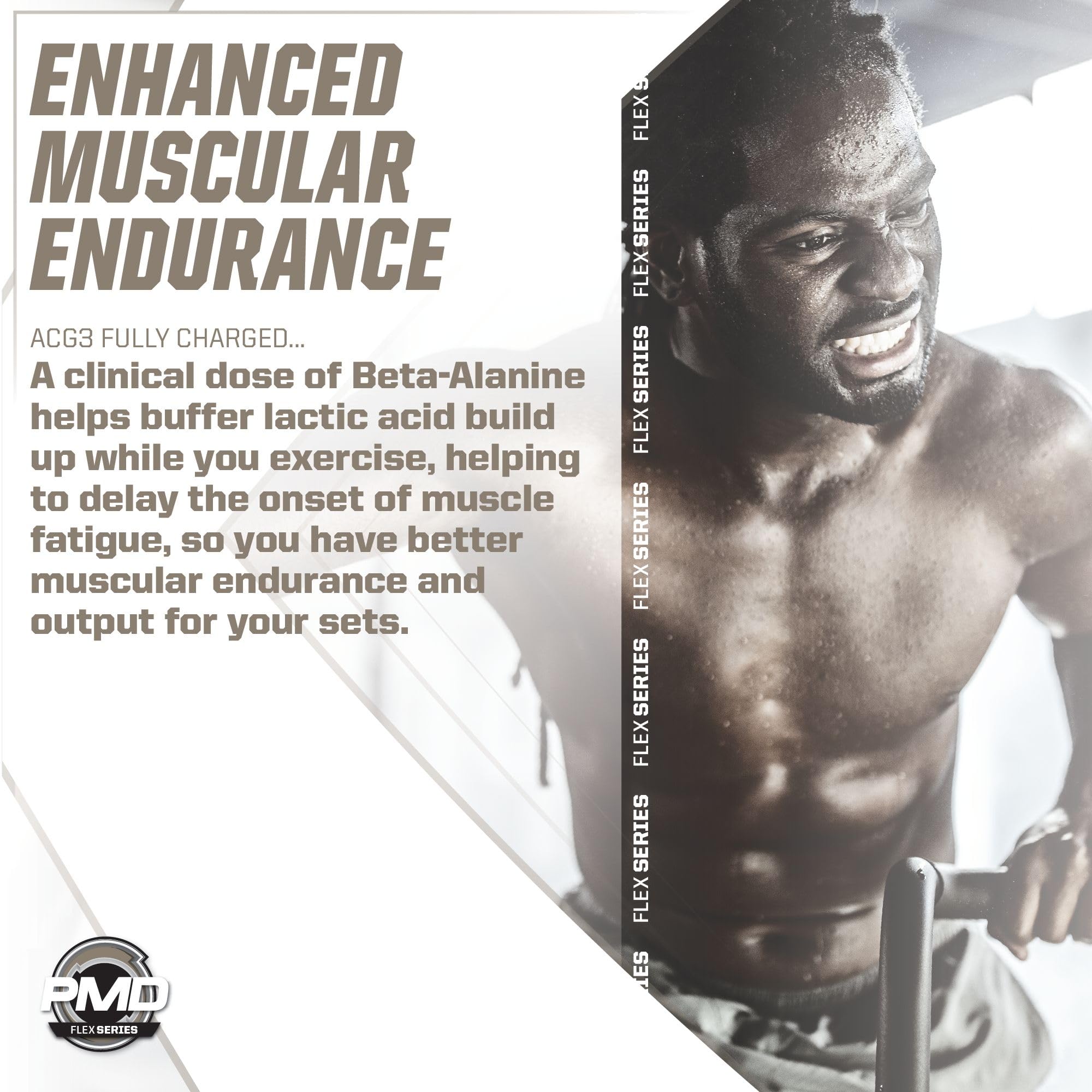 PMD ACG3 workout scene conveys focus and energized training sessions.