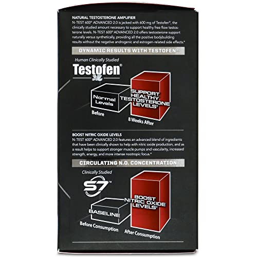 PMD N-TEST 600 Advanced capsules ready for daily workouts and recovery