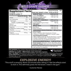 PMD Pump Fuel Ultra Insanity scoop indicating precise serving for energy support.