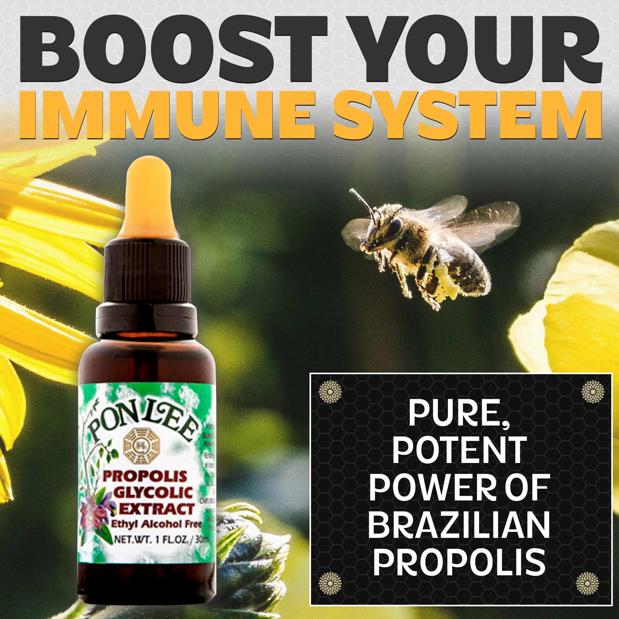PONLEE propolis dropper bottle for easy, alcohol-free ingestion