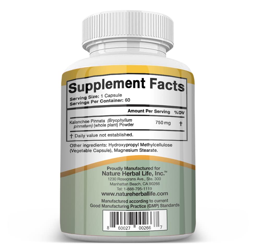 Pousutong Leaf of Life capsules, 750 mg, for daily wellness routines.
