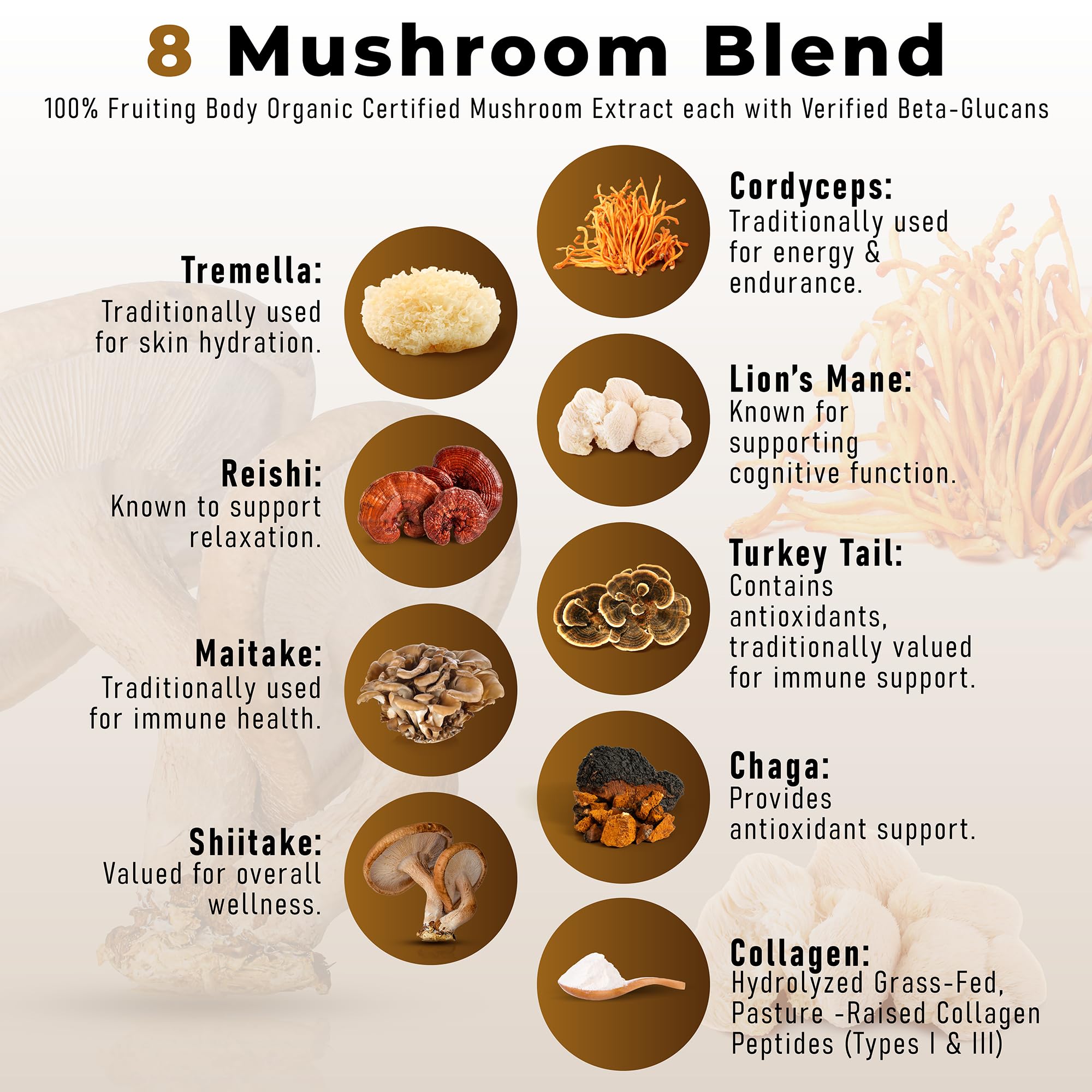 PowderVitamin double-extracted mushrooms illustration emphasizing potency.