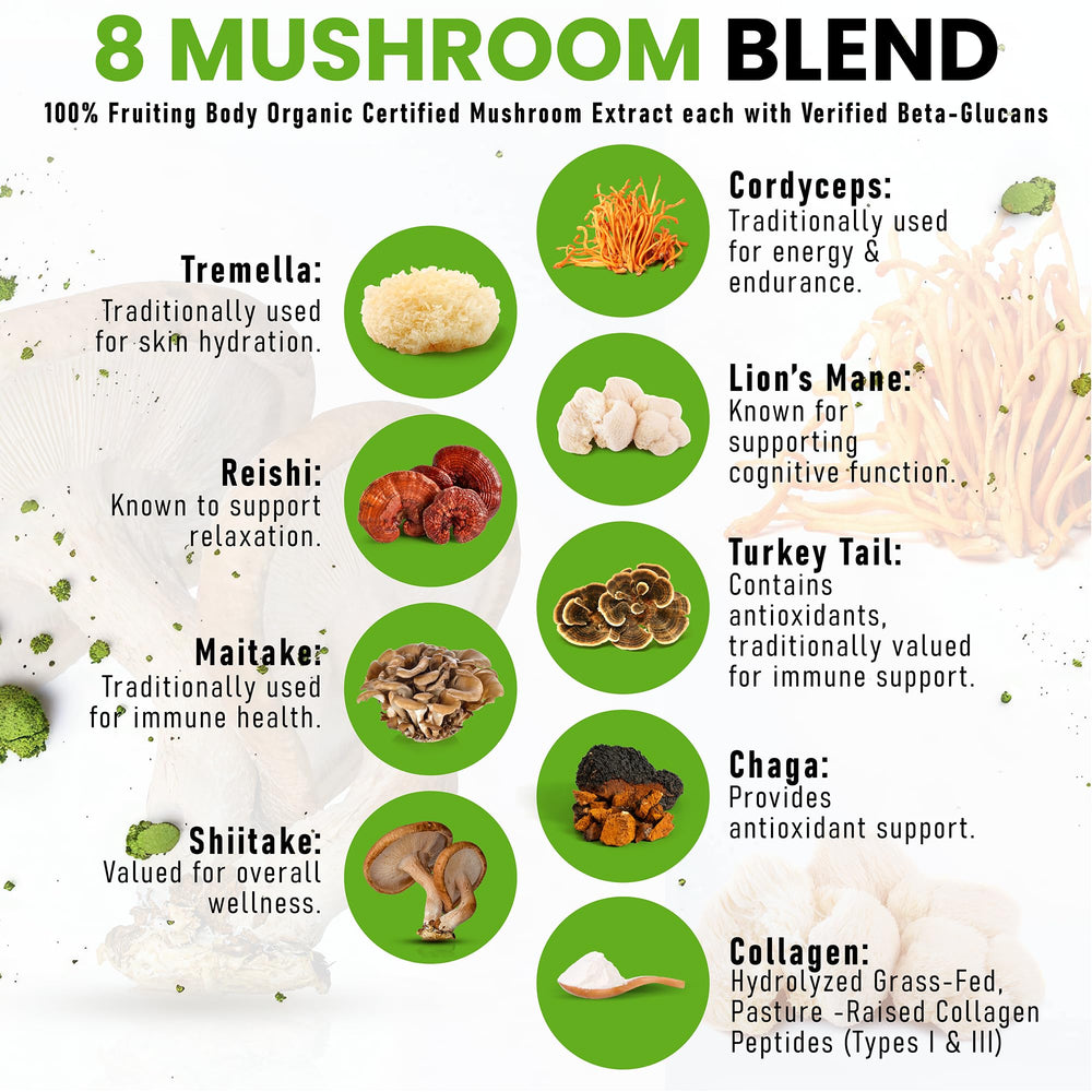 PowderVitamin organic mushroom blend jar highlights double-extracted fruiting body mushrooms.