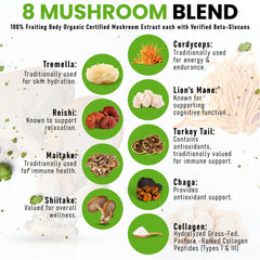 PowderVitamin organic mushroom blend jar highlights double-extracted fruiting body mushrooms.