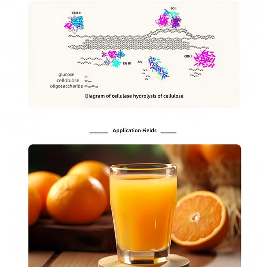 Powdura Cellulase Powder dissolving in water enabling enzymatic breakdown.